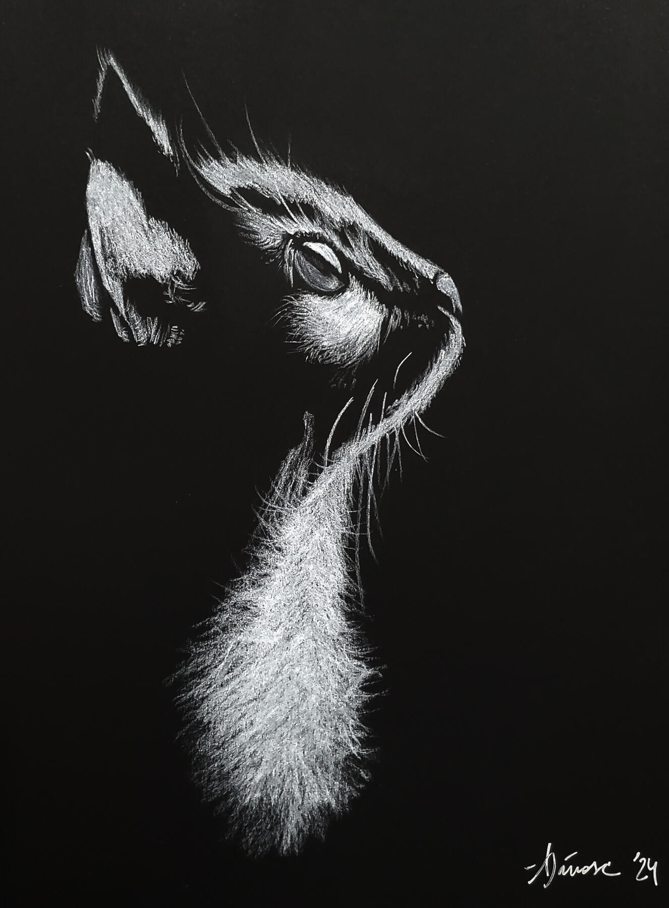 Captivated Kitty