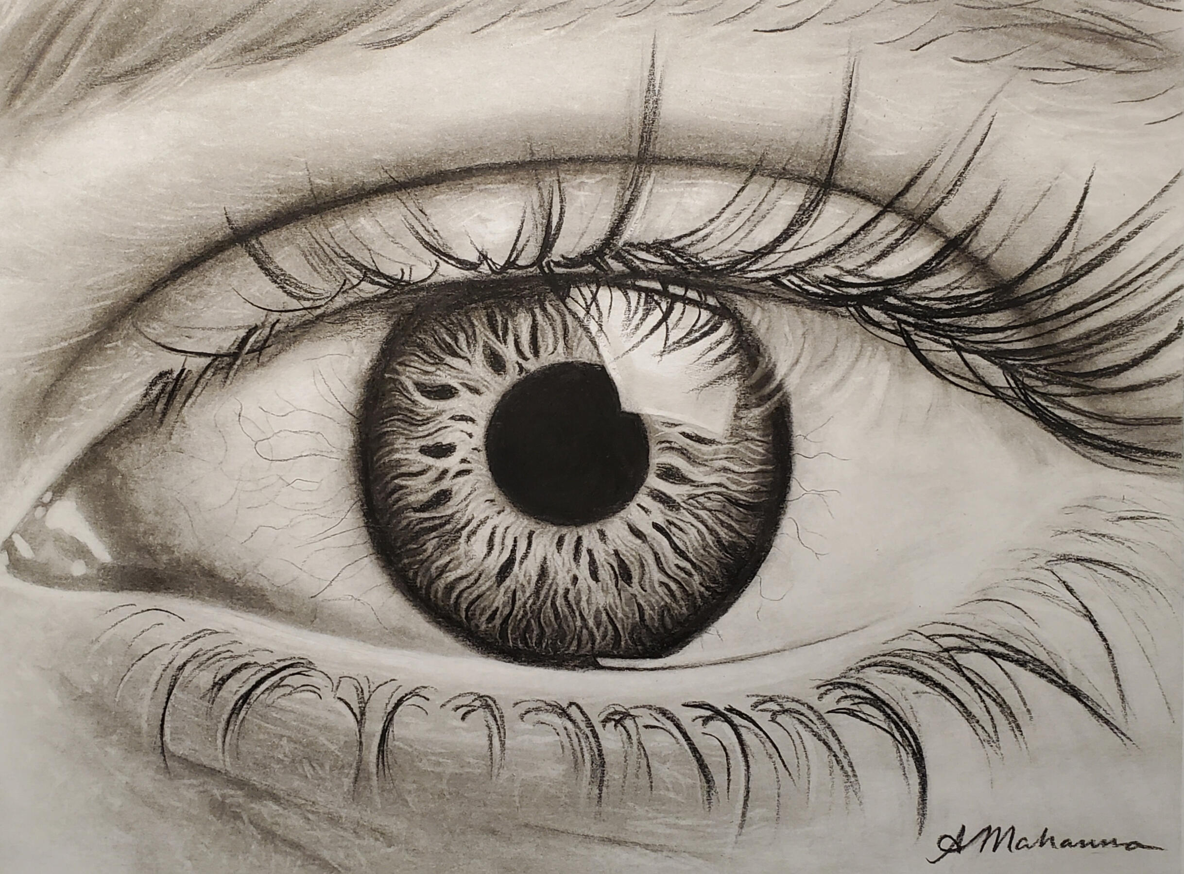Window to the Soul